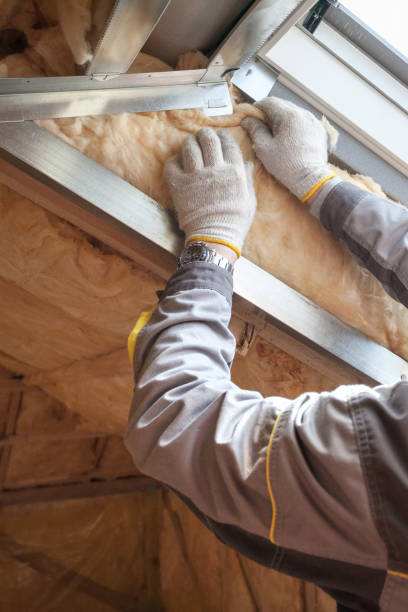 Best Insulation Installation Services in Montague, MI